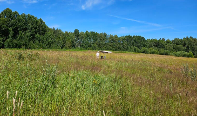 Platsen Gläntan